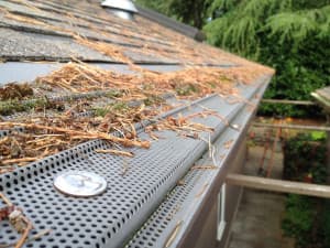 Leaf protection system installed over a gutter near overhanging trees