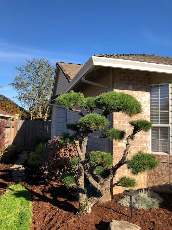 White box-bottom gutter connected to a plain square downspout
